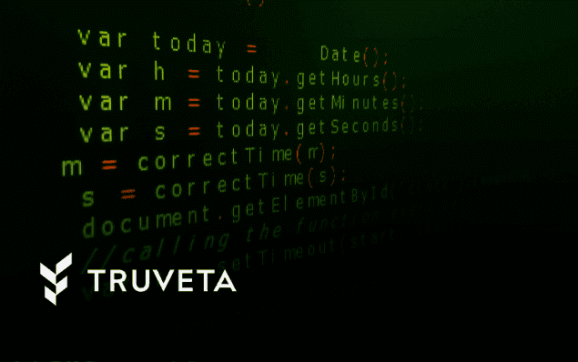 The Truveta language Model
