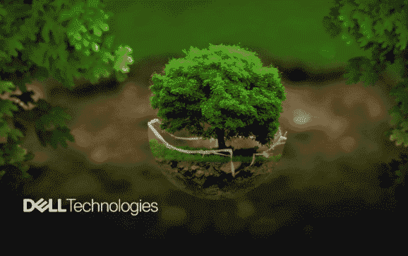 Server Environments brief