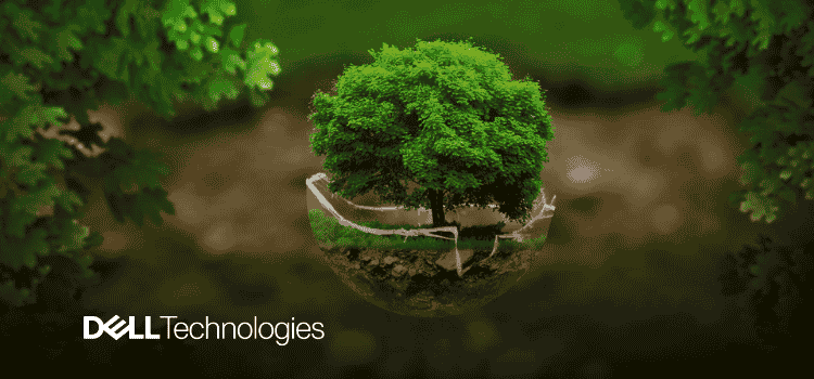 AI and Security Redefine the Future of Server Environments brief