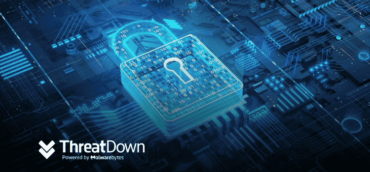 ThreatDown EDR: Simple and Effective Security