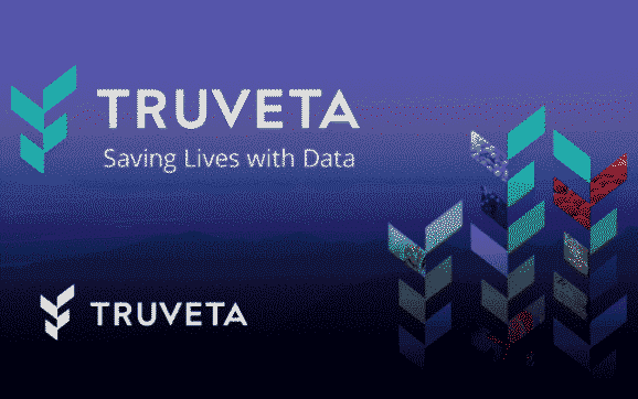 Truveta Language Model