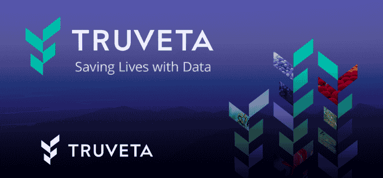 Truveta Language Model