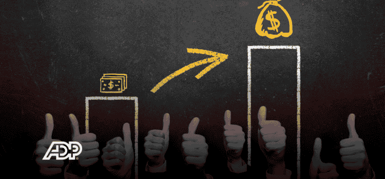 Pay, Performance and Transparency 2024