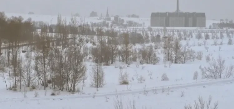 Choosing the Right AI Inference Strategy: Cloud vs On-Prem